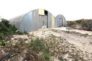Finca rústica a Crevillente. Finca de cultivo en venta en crevillente alicante