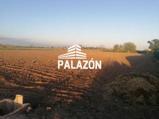 Propriété à Catral. Finca rústica en venta en catral alicante