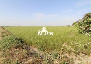Propriété à Catral. Finca rústica en venta cerca de catral alicante