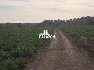 Nau industrial a Dolores. Casa de campo en venta en dolores alicante