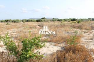 Finca rústica a Albatera. Finca rústica en venta en albatera alicante