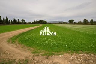 Rural plot in Catral. Finca rustica en venta en catral alicante