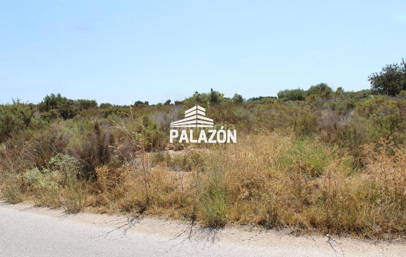 Foto 0af2847e-6c3f-416d-a997-3f13ef8b5f53. Fondo rustico in Crevillente