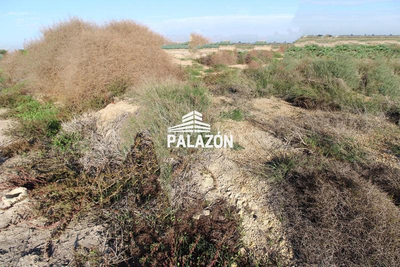 Foto 86342274-cbbb-45b6-87da-4b7210e2f074. Propriété dans Dolores