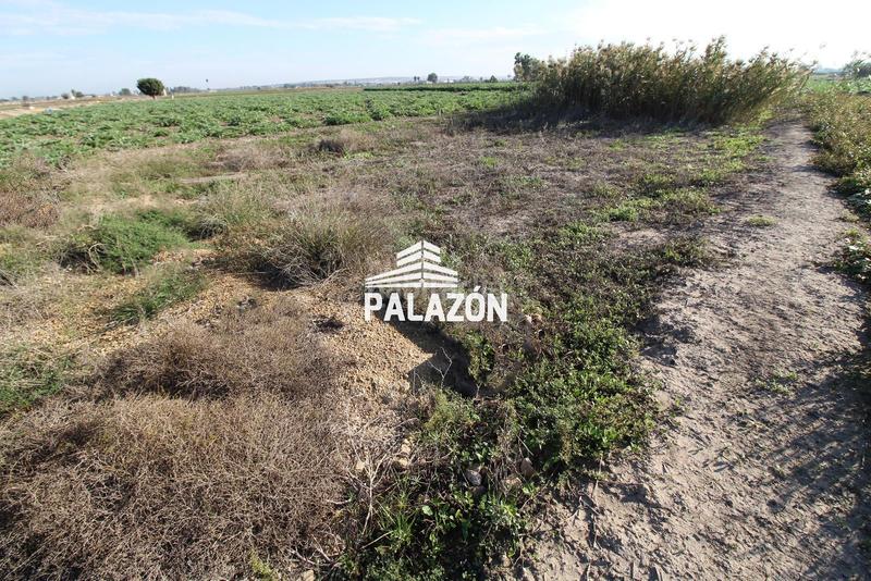 Foto 95207823-81b9-4062-9410-7bd0bace9b20. Propriété dans Dolores