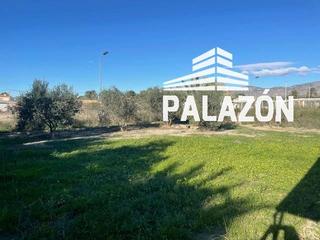 Location Propriété à Crevillente. Finca rústica en alquiler en crevillente alicante