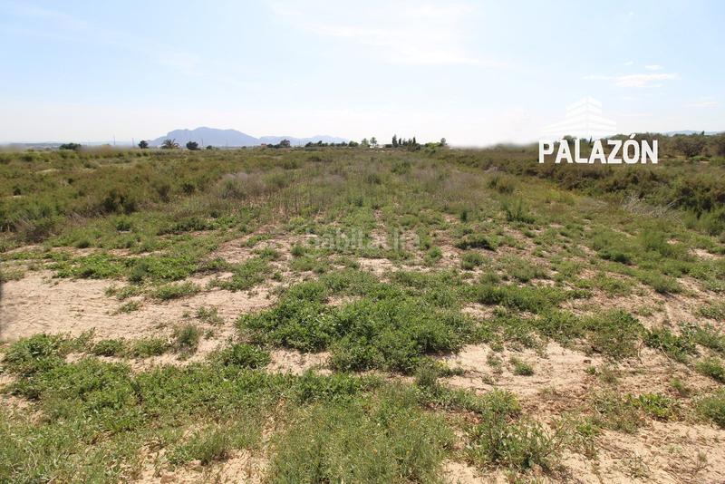 Foto 2980943d-2862-4327-8529-28bf8daa779e. Propriété dans Crevillente