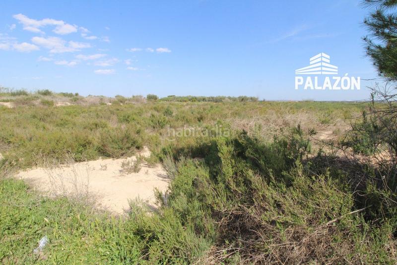 Foto 58c80e3d-420e-4a39-9a40-d21cc5053285. Propriété dans Crevillente