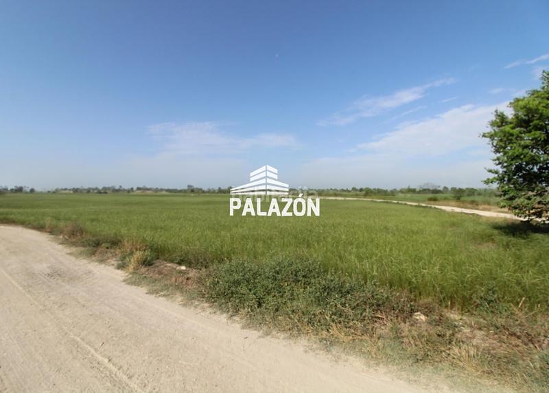 Foto 1b2120ec-7360-4b68-bfe6-5edbfc539c90. Finca rústica  en venta cerca alicante en Catral