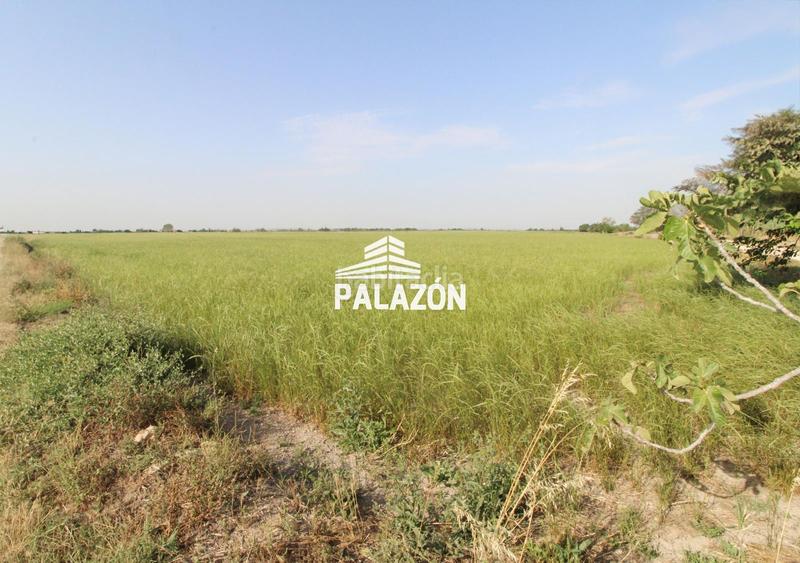 Foto 6e8f8455-2d2c-4d4e-96bb-b84ea9f28384. Finca rústica  en venta cerca alicante en Catral