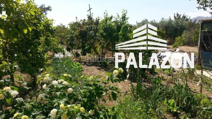 Foto 8fdaf768-dd09-453f-abe1-b1994b66701d. Masía casa de campo en venta en albatera alicante en Crevillente