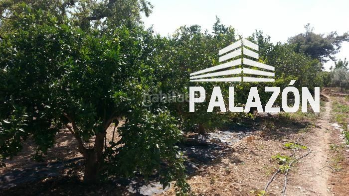 Foto ac34abec-8c16-4f23-bfe1-0a398364442e. Masía casa de campo en venta en albatera alicante en Crevillente