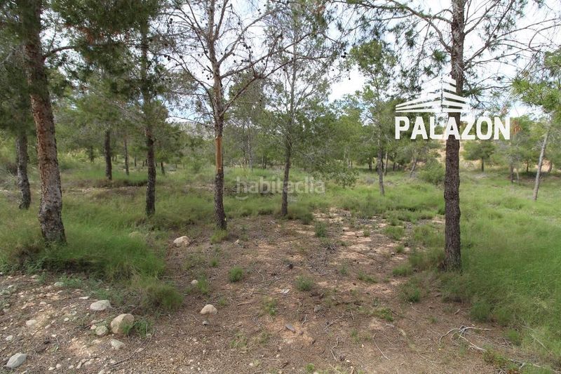 Foto cf3fa20a-a8b4-4d07-a3aa-0b4586f22436. Finca rústica a Crevillente