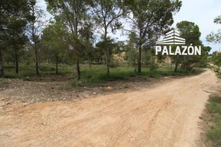 Propriété à Crevillente. Finca rústica en venta en crevillente alicante