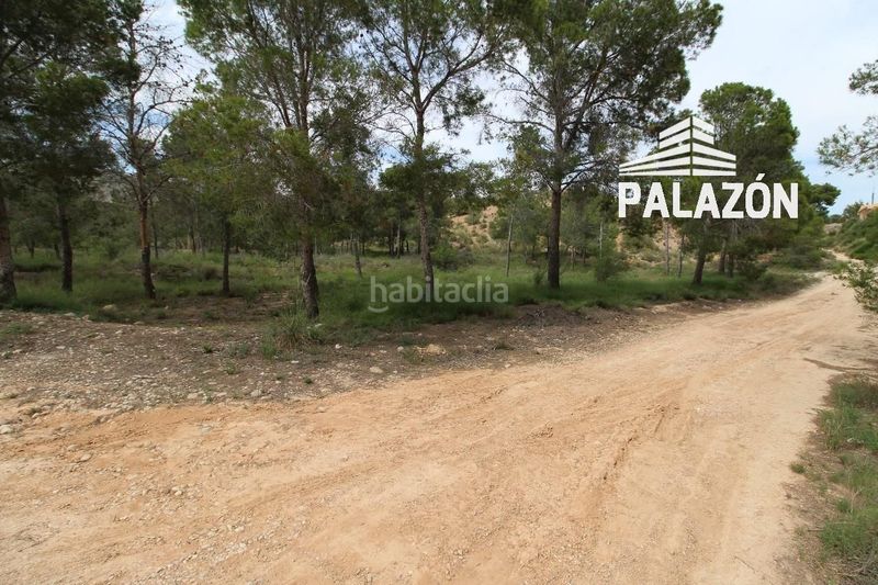 Foto ff0134a3-1091-4548-a431-03df4c61c4cd. Finca rústica a Crevillente