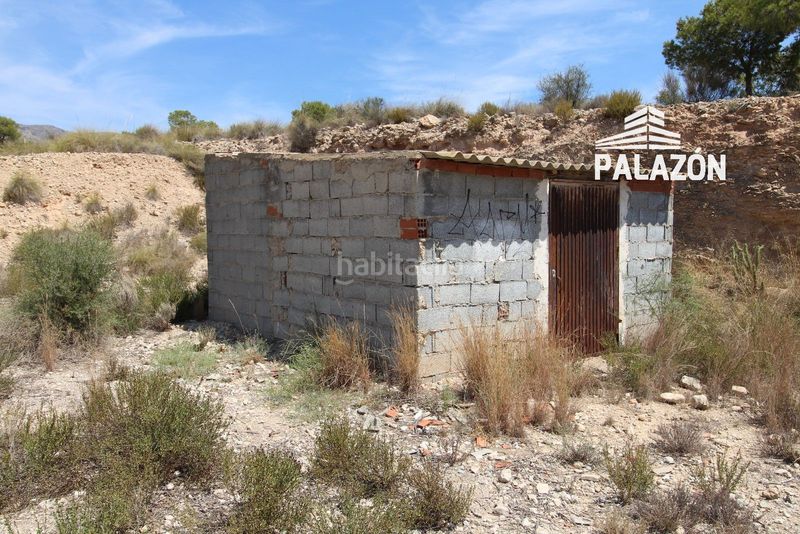 Foto 04773786-f24a-46ab-b363-9182dafc2384. Finca rústica a Crevillente