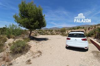 Finca rústica a Crevillente. Finca rústica en venta en crevillente  alicante