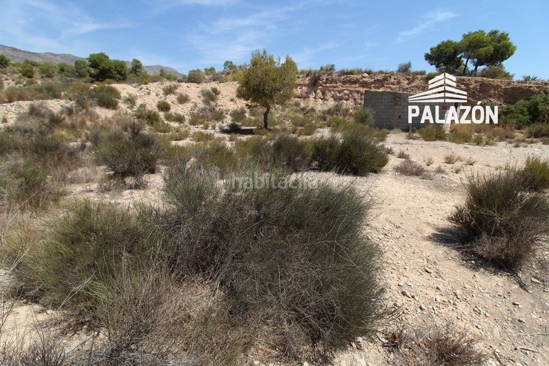 Foto 84846832-0a34-4516-a80b-878894523a1e. Finca rústica a Crevillente