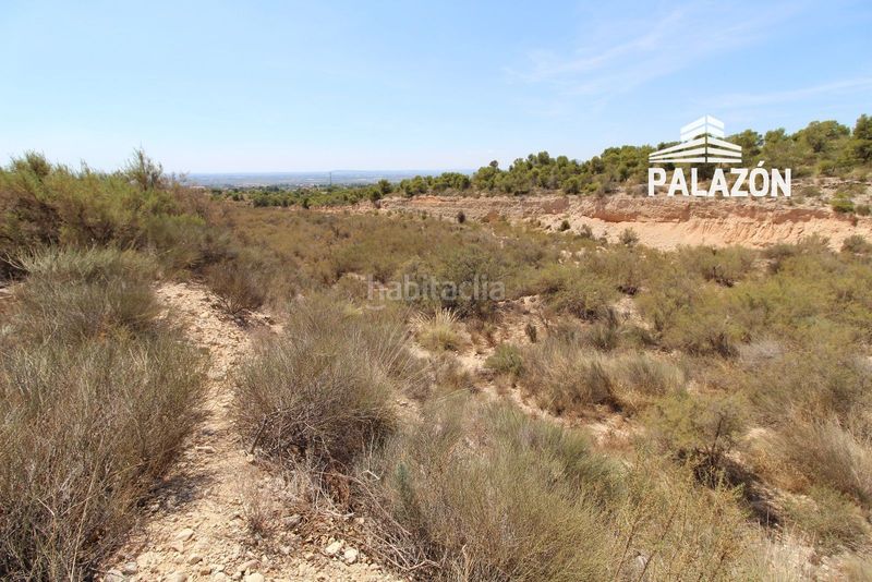 Foto c9b7c638-b478-4d20-92a8-71a8666630ec. Finca rústica a Crevillente