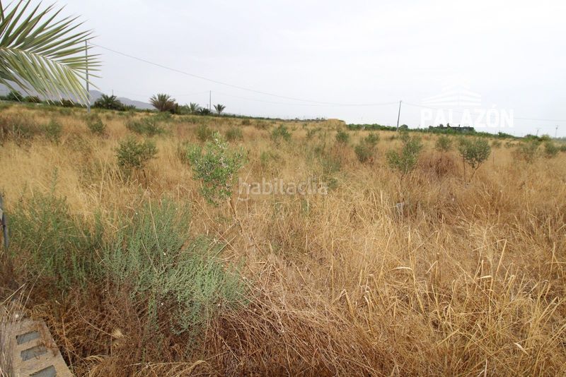 Foto 47149c13-e487-4521-95e2-a7f383ebf497. Masía casa de campo en venta en crevillent alicante en Crevillente