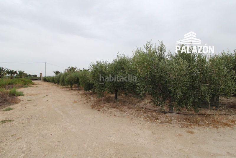 Foto 8c2e7f44-96ec-4e2c-8bfd-6eb53d64fd5c. Masía casa de campo en venta en crevillent alicante en Crevillente