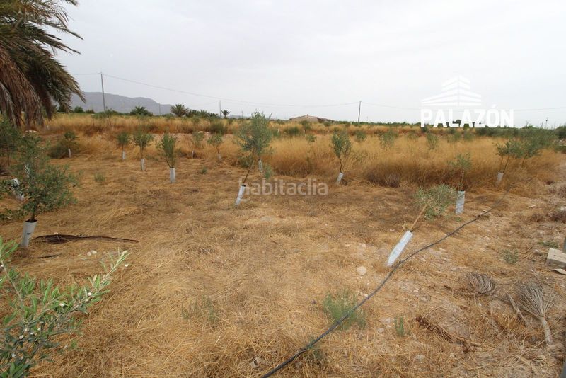 Foto c2aa247c-f8c4-4e96-966d-3845d615e2f5. Masía casa de campo en venta en crevillent alicante en Crevillente