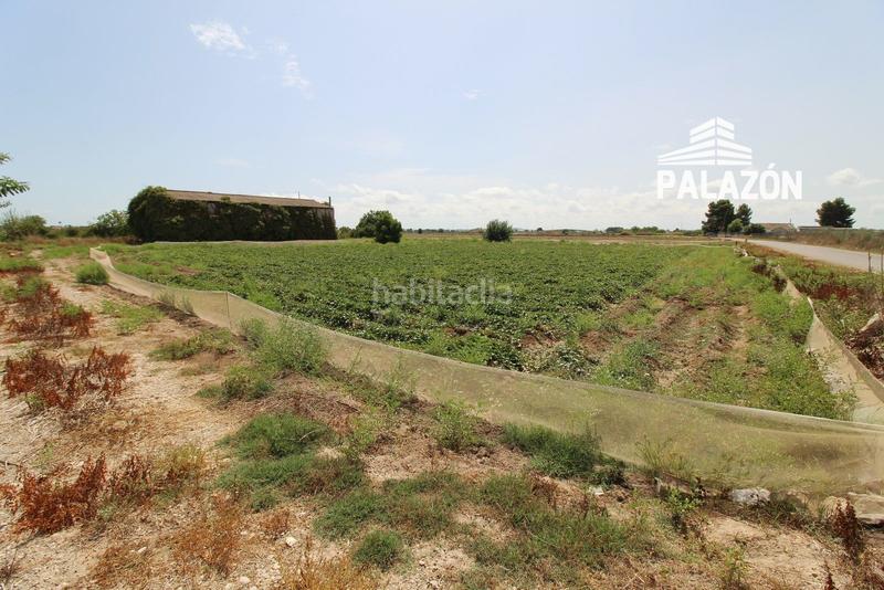 Foto 14911d7d-7029-40cc-b869-df46538f62b9. Rural plot in Catral