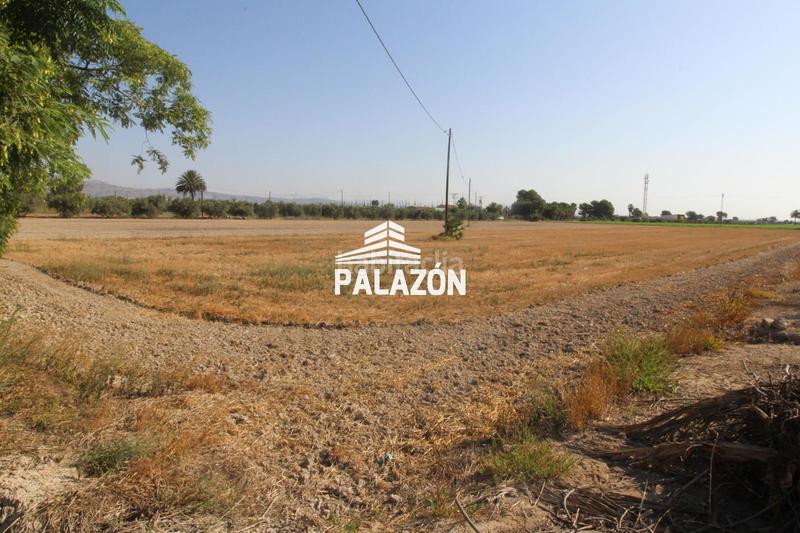 Foto 95d17536-bfa2-4982-ab6b-af2df395a656. Xalet a Crevillente