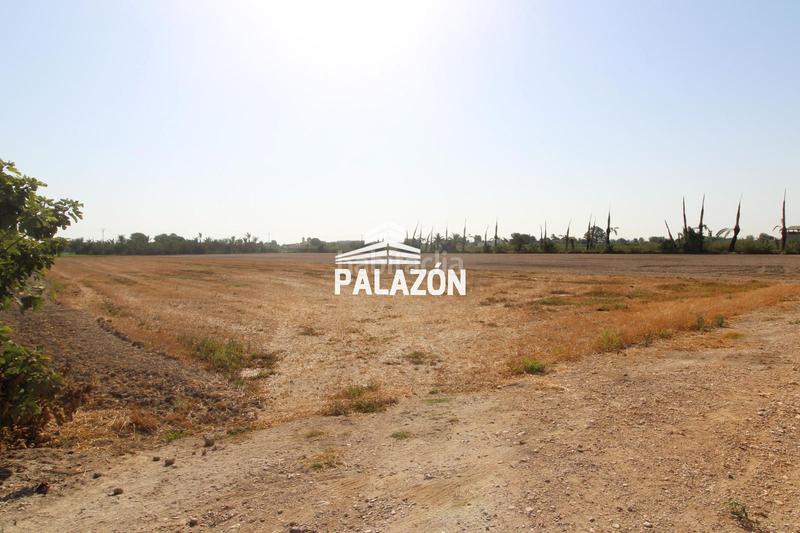 Foto a0913ceb-aa6b-4e0a-ad01-ad7f3970de66. Xalet a Crevillente