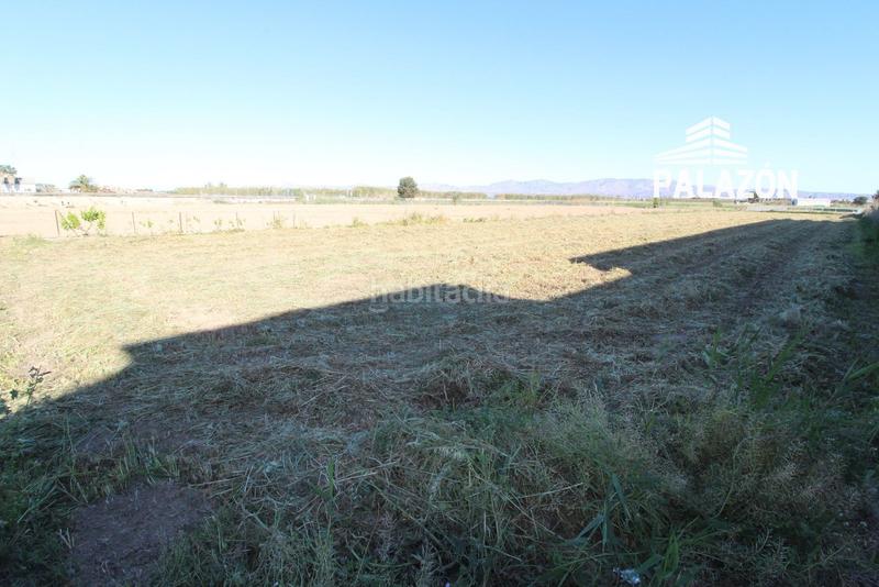 Foto bd74e555-c139-4349-ad17-01e69fb11140. Rural plot in Dolores