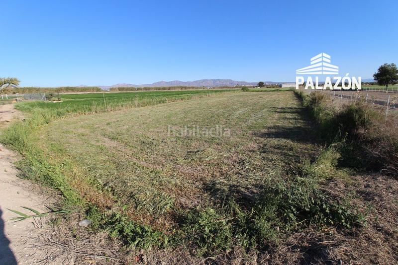 Foto d5de8725-7721-4bb6-886d-450ea314938a. Rural plot in Dolores
