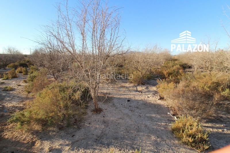 Foto d3ded506-51fd-40a2-9434-9c97cdcdd674. Finca rústica a Crevillente