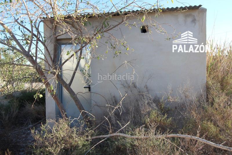 Foto d53c14a9-d04b-4f10-b2d3-f73722bb9545. Finca rústica a Crevillente