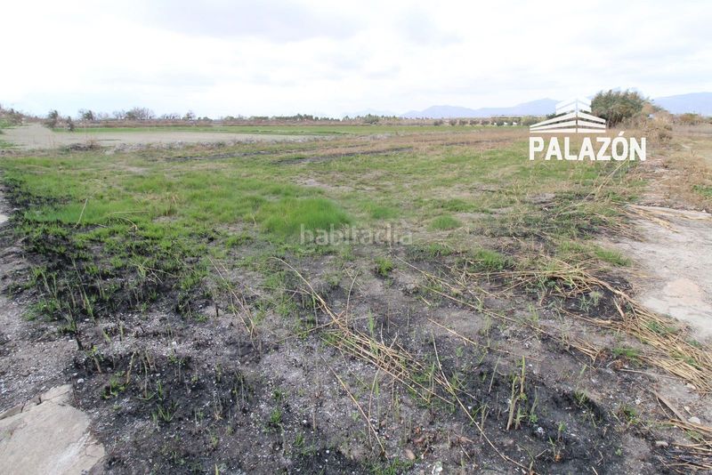 Foto 8f146e21-b398-4195-a54e-fbebdd7d97c9. Finca rústica a Crevillente