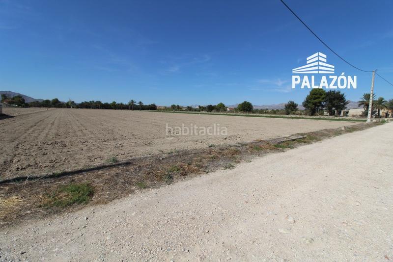 Foto a81be415-b41d-4b99-bbb2-5e9279bafe5a. Finca rústica parcela rústica en venta en crevillente alicante en Catral