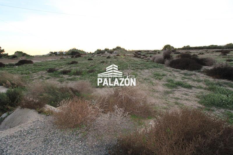 Foto 0c2880e2-abc2-4ad1-9006-c3a91fd6ad4f. Landgut in Crevillente