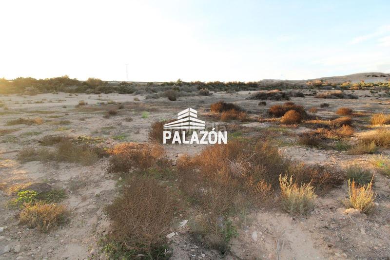 Foto 6b3c2c11-271c-4cdd-b8dd-721a7e9d842d. Landgut in Crevillente