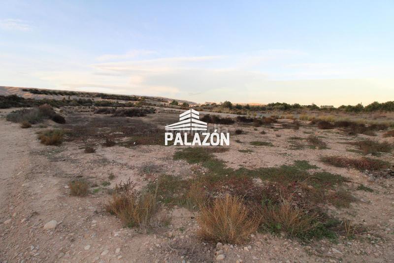 Foto 6ccae5ce-c23d-41ee-b93c-c3889d1a4e1c. Landgut in Crevillente