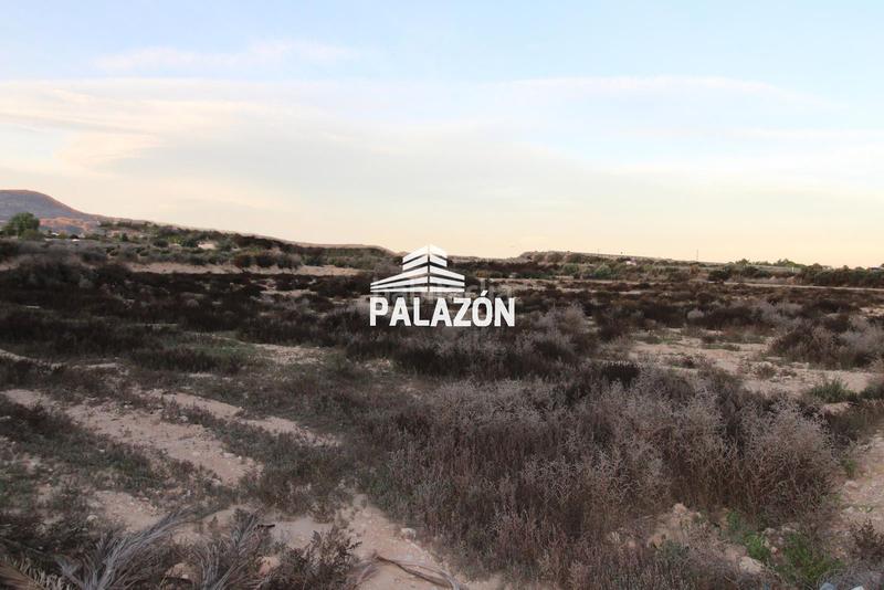 Foto 8619158b-46ed-41fe-b82c-15091850eac4. Landgut in Crevillente