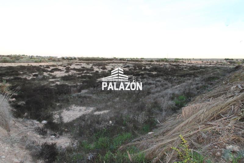 Foto e8cf0c26-0348-45b2-858a-4ee4a1f786f7. Landgut in Crevillente