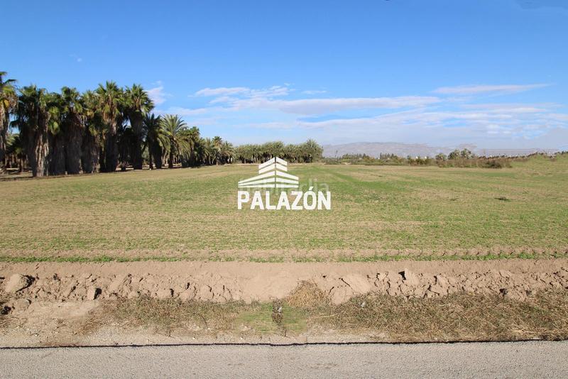 Foto 494e8740-f09f-426e-a1ff-29d2c99fd3c8. Finca rústica  alicante de 10.000 m en Catral