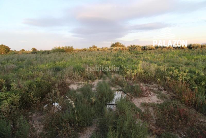 Foto 1451e73b-592d-48ec-83f4-4c9bf5625fca. Masia a Crevillente