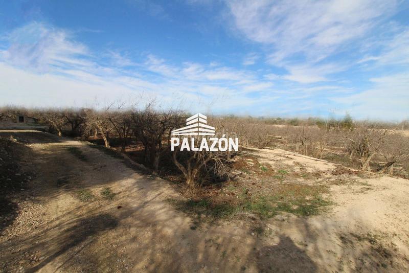 Foto 542a9192-26a7-4c7c-9435-767d7d822b05. Finca rústica a Albatera