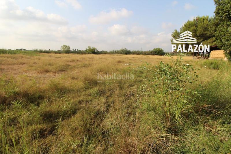 Foto 2ce18792-eabc-4faa-9e34-94f56ff3fdc1. Finca rústica  en venta alicante en Catral