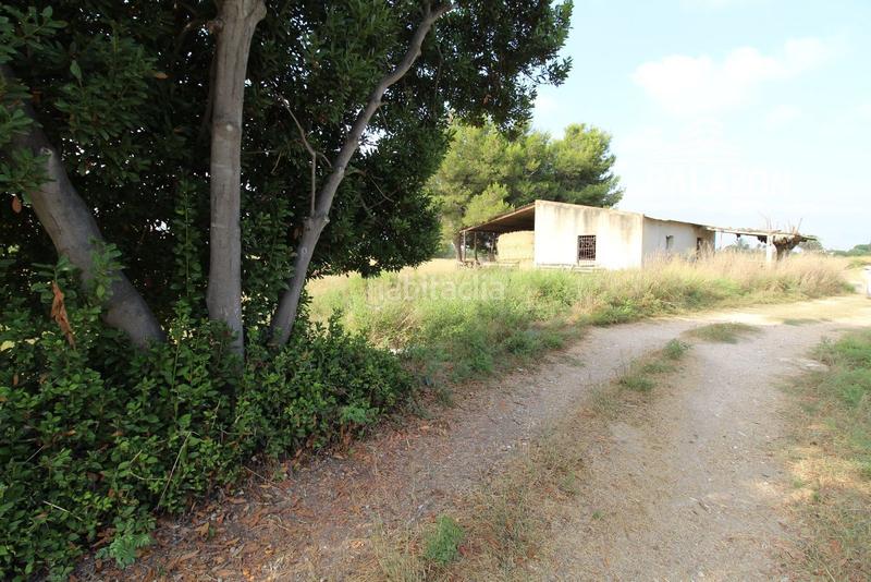 Foto 4ea9b228-0354-4f90-8cf0-b493799caf9e. Finca rústica  en venta alicante en Catral