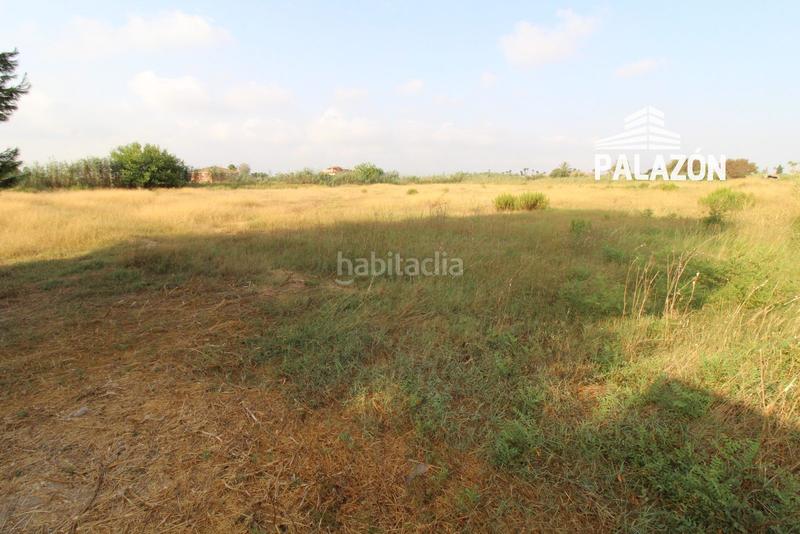 Foto 89de54a7-9354-469d-bdc9-0953de214b1b. Finca rústica  en venta alicante en Catral