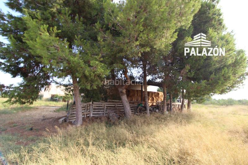 Foto efbbc5cc-6828-42fb-b4d6-2a392f1589eb. Finca rústica  en venta alicante en Catral