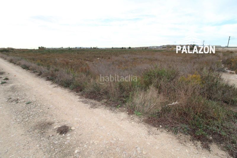 Foto 09a54d76-47fa-4f8d-994d-c1b89c4b0fe2. Finca rústica a Crevillente