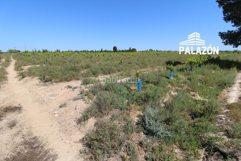 Foto cdeb580d-da06-459a-9149-8dc918ae284b. Propriété dans Crevillente