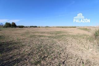 Landgut in Catral. Finca rústica en venta en catral alicante